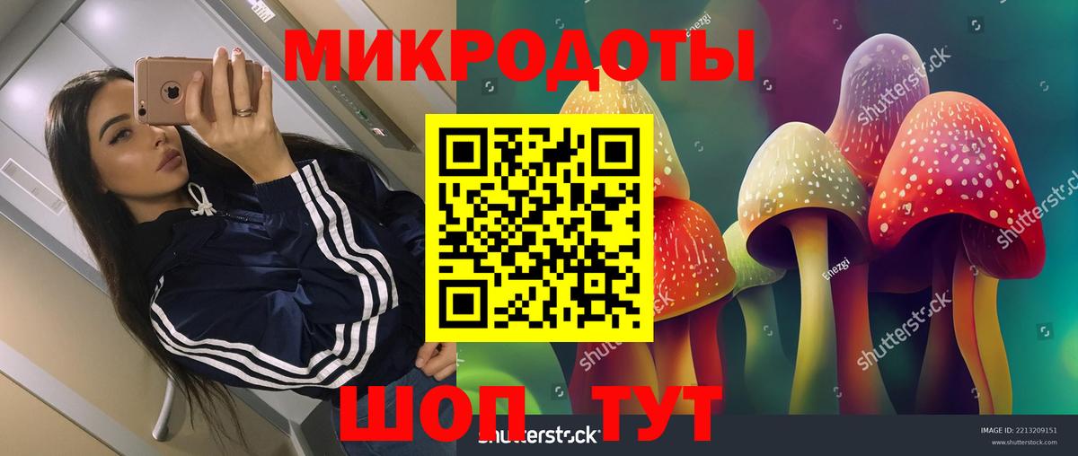 Галлюциногенные грибы Psilocybe Сочи